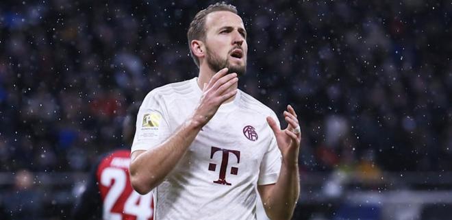 给自家牛棚 给自家牛棚